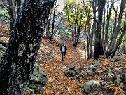 Madonna delle Cime sul Corno Zuccone da Reggetto di Vedeseta-19nov21- FOTOGALLERY